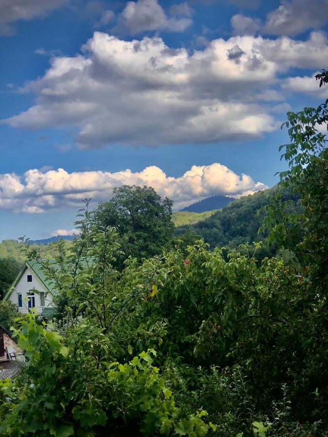 Casa Haiducilor Brasov Villa Eksteriør bilde